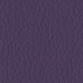 Viola 724