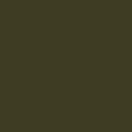 Olivengrün P51