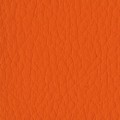 Orange 36