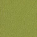 Hellgrün 22