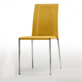 Silvy CU SB